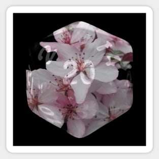 Nat20 Pink White Flowers Sticker